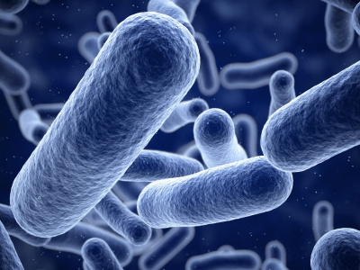 Sources of Coliform Bacteria Contamination in Home Well Water
