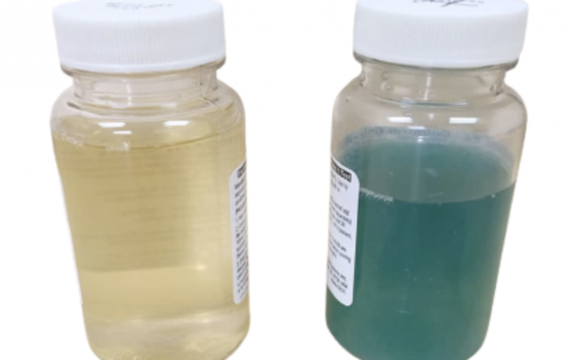 Coliform Bacteria Testing: Why, How, and When