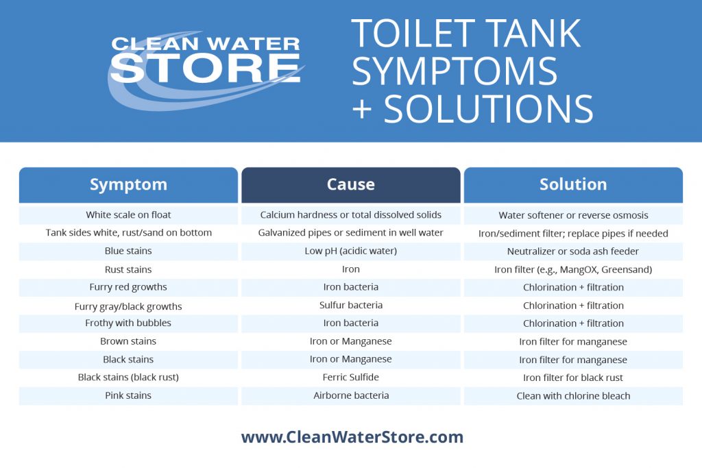 Infographic chart from Clean Water Store titled "Toilet Tank Symptoms + Solutions." The chart lists common toilet tank issues like white scale on float, rust stains, and black stains, along with their causes such as calcium hardness, iron bacteria, or manganese. Corresponding solutions include water softeners, iron filters, neutralizers, and chlorination with filtration.