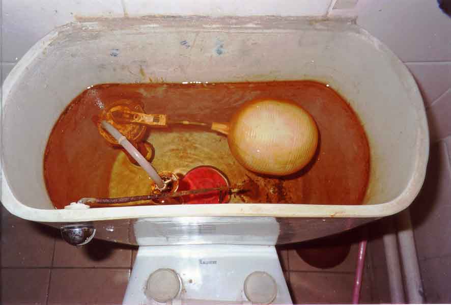 iron bacteria in toilet tank