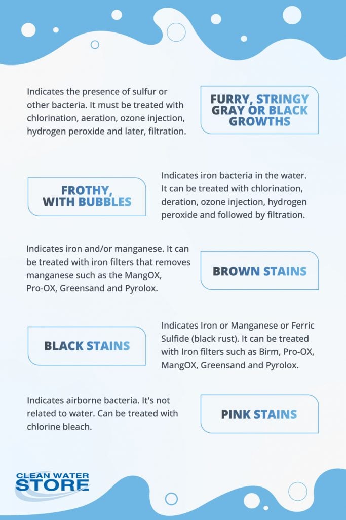 Infographic showing types of stains and growths in water and their causes: furry gray or black growths indicate sulfur or bacteria; frothy bubbles indicate iron bacteria; brown stains indicate iron or manganese; black stains indicate iron, manganese, or ferric sulfide; pink stains indicate airborne bacteria. Includes treatment options such as chlorination, aeration, ozone injection, hydrogen peroxide, filtration, and iron filters like MangOX, Pro-OX, Greensand, and Pyrolox.