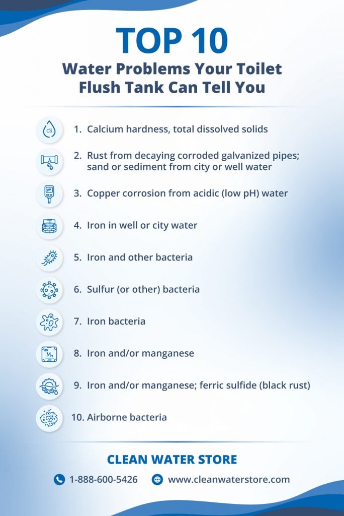 Infographic showing the top 10 water problems your toilet flush tank can reveal, including calcium hardness, rust from pipes, copper corrosion, iron in water, iron bacteria, sulfur bacteria, manganese, ferric sulfide (black rust), and airborne bacteria. Created by Clean Water Store.