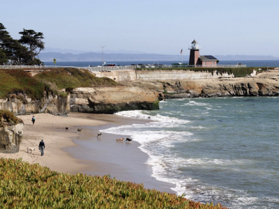 Best Local & Online Water Filtration Companies Near Santa Cruz, CA