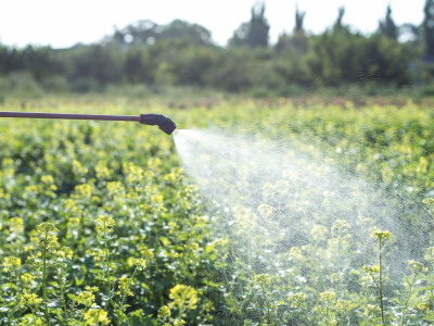 What Are PFAS Forever Chemicals and Are They in My Water? Everything Homeowners Need to Know