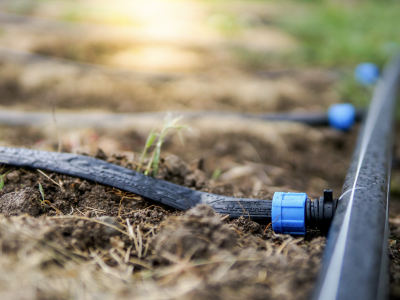 Why Is My Irrigation System Failing? Well Water Quality Problems on Large Properties
