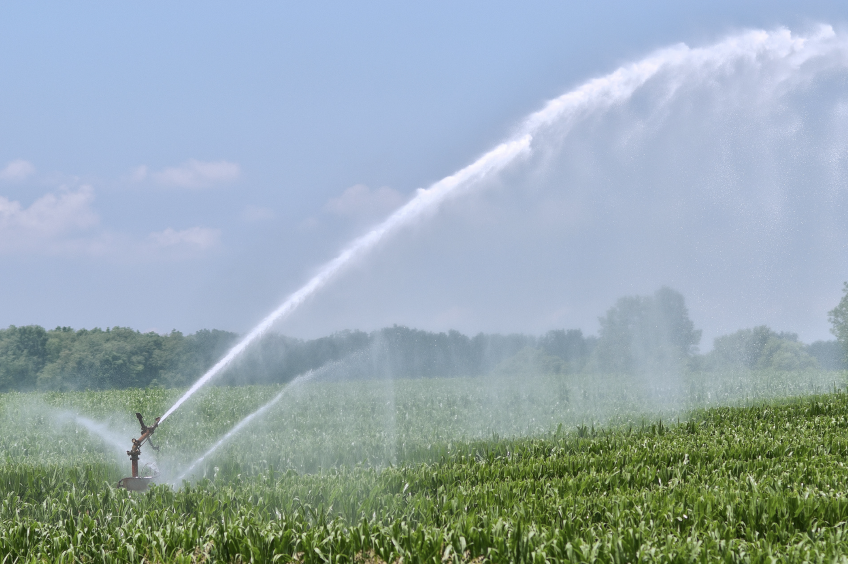 Large property with irrigation from well water