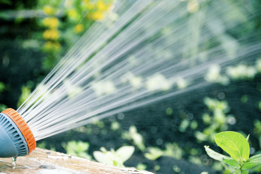 Watering a summer garden with a hose.