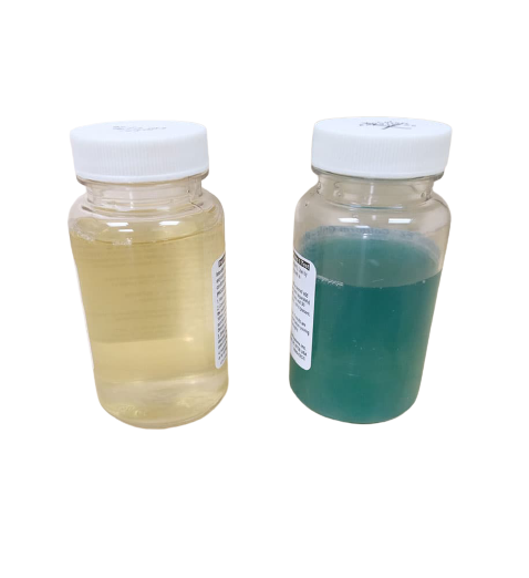 Coliform Bacteria EZ Test - 12 Tests with 12 Warming Pads