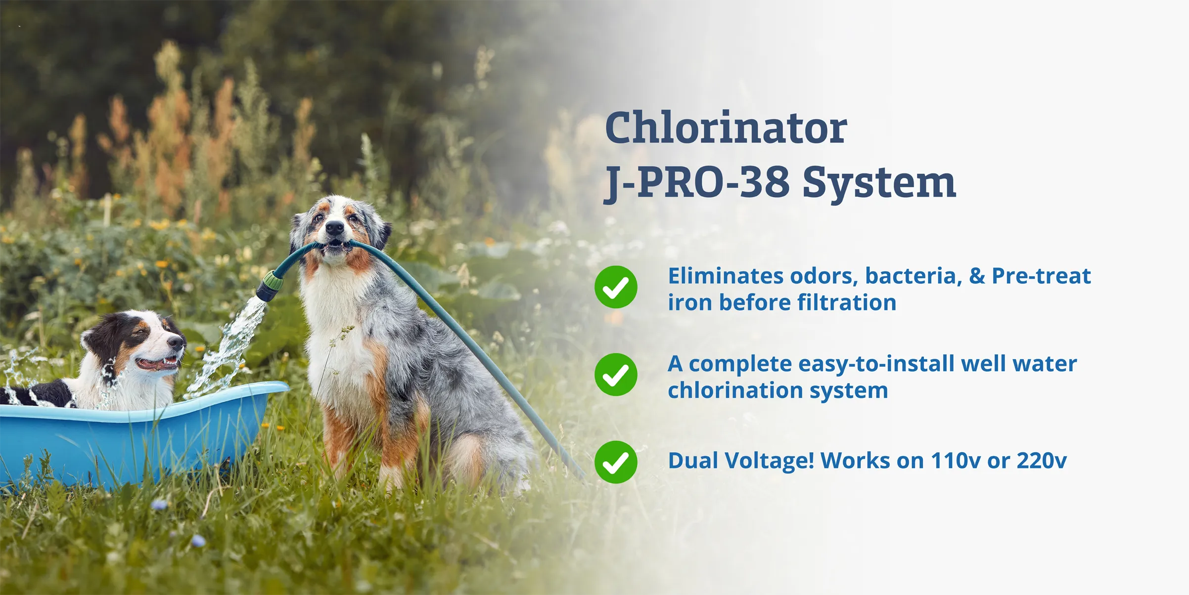 Chlorinator system product header