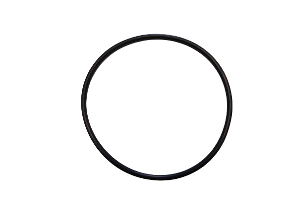 O-Ring Aquaflo Big Blue Standard