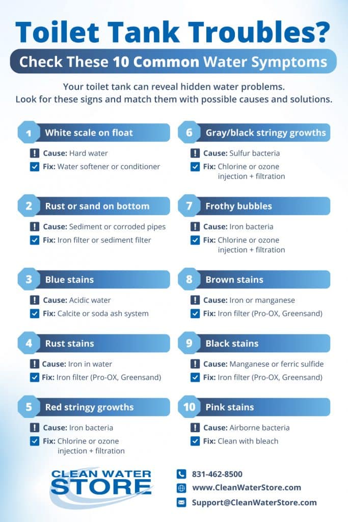 Infographic from Clean Water Store showing 10 common toilet tank water issues such as rust, stains, and bacterial growths, along with their causes and recommended solutions like filters, softeners, and bleach.